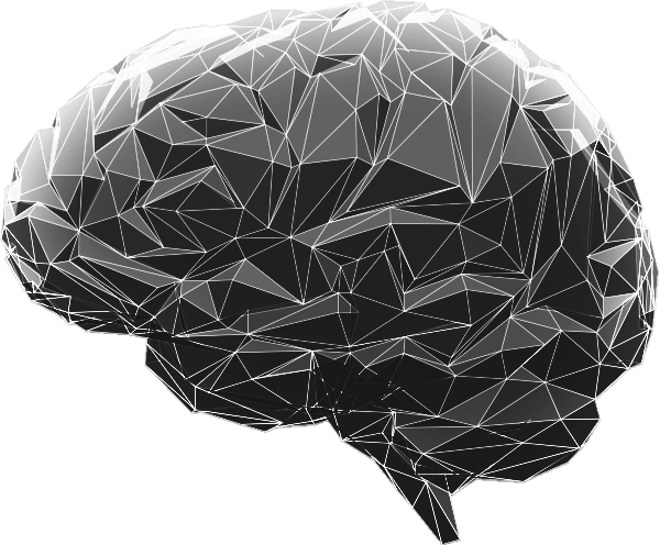 Digital Leader Brain Overlay