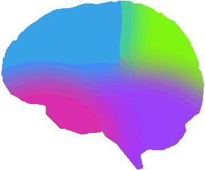 Digital Leader Brain Color
